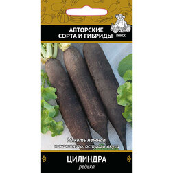 ����  ������ ��������, ������ �� 29 ���