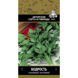 ����  ��������� �������� ��������, ������ �� 32 ���