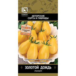 ����  ����� ������� �����, ������ �� 29 ���