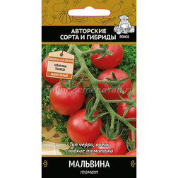 ����  ����� ��������, ������ �� 29 ���