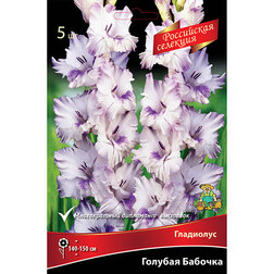 ����  �������� ���������� ������� ������� (5 ��.), ������ �� 637 ���