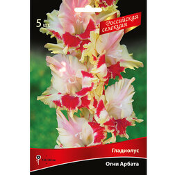 ����  ��������� ���� ������ (5 ��.), ������ �� 637 ���