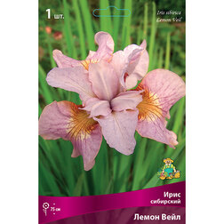 ����  ���� ��������� ����� ����, ������ �� 292 ���