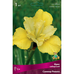 ����  ���� ��������� ����� ������, ������ �� 292 ���