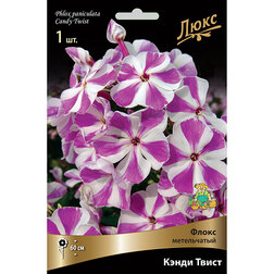 ����  ����� ����������� ����� �����, ������ �� 391 ���