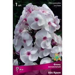 ����  ����� ����������� ��� ����, ������ �� 297 ���