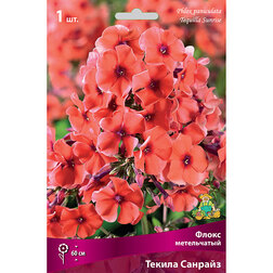 ����  ����� ����������� ������ �������, ������ �� 275 ���