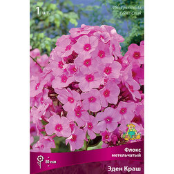 ����  ����� ����������� ���� ����, ������ �� 258 ���