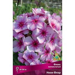 ����  ����� ����������� ���� ����, ������ �� 317 ���