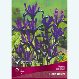 ����  ���� �������� ���� ���� (10 ��.), ������ �� 439 ���