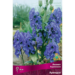 ����  ������ ��������� �������, ������ �� 246 ���