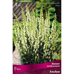 ����  ������ ����������� ������, ������ �� 331 ���