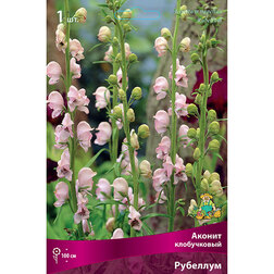 ����  ������ ����������� ��������, ������ �� 336 ���