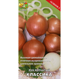 ����  ��� �������� ��������, ������ �� 29 ���