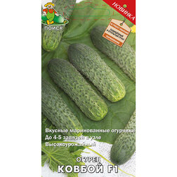 ����  ������ ������ F1, ������ �� 39 ���