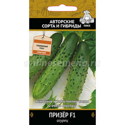 ����  ������ ����� F1, ������ �� 42 ���