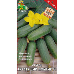 ����  ������ ��������� ������ F1, ������ �� 35 ���