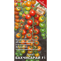 ����  ����� ���������� F1, ������ �� 33 ���