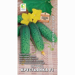 ����  ������ ���������� F1 (��������� �����), ������ �� 38 ���