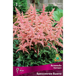 ����  �������� ������� ���������� �����, ������ �� 263 ���