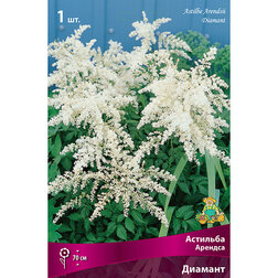 ����  �������� ������� (�������), ������ �� 263 ���