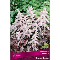 ����  �������� ������� ����� ����, ������ �� 450 ���