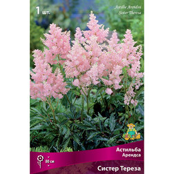 ����  �������� ������� ������ ������, ������ �� 263 ���