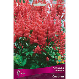 ����  �������� ������� �������, ������ �� 283 ���