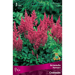 ����  �������� ������� �������, ������ �� 272 ���