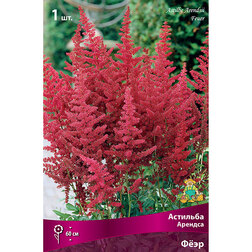 ����  �������� ������� Ը��, ������ �� 263 ���