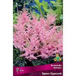 ����  �������� ������� ����� �������, ������ �� 272 ���