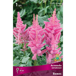 ����  �������� ��������� �����, ������ �� 328 ���