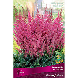 ����  �������� ��������� ����� �����, ������ �� 272 ���