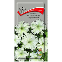 ����  ������� ����������� �������� �����, ������ �� 80 ���