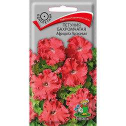 ����  ������� ����������� �������� ���������, ������ �� 89 ���