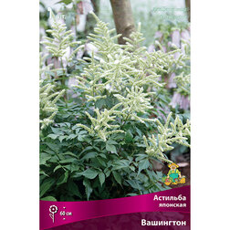 ����  �������� �������� ���������, ������ �� 263 ���