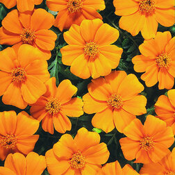 ����  �������� ����������� ����� ����� (1��-1000��) ���������������� ������, ������ �� 2880 ���