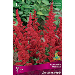 ����  �������� �������� �����������, ������ �� 263 ���