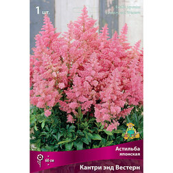 ����  �������� �������� ������ ��� �������, ������ �� 351 ���