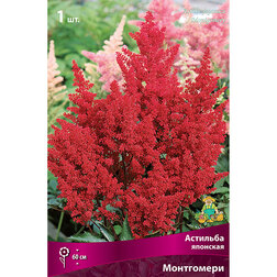 ����  �������� �������� ����������, ������ �� 272 ���