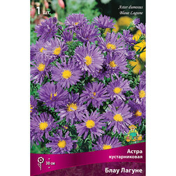 ����  ����� ������������� ���� ������, ������ �� 319 ���