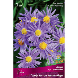 ����  ����� ������������� ����. ����� ����������, ������ �� 319 ���