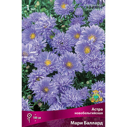 ����  ����� ��������������� ���� �������, ������ �� 319 ���