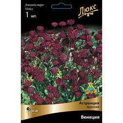 ����  ��������� ������� �������, ������ �� 666 ���