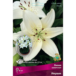 ����  ����� ��������� ������ (2 ��.), ������ �� 299 ���