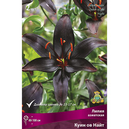 ����  ����� ��������� ���� �� ���� (2 ��.), ������ �� 370 ���