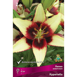 ����  ����� ��������� �������� (2 ��.), ������ �� 306 ���