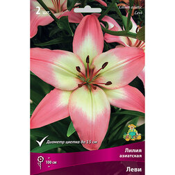 ����  ����� ��������� ���� (2 ��.), ������ �� 329 ���