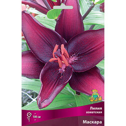 ����  ����� ��������� ������� (2 ��.), ������ �� 319 ���