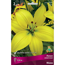 ����  ����� ��������� ���� (2 ��.), ������ �� 306 ���